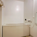 as010p.jpg